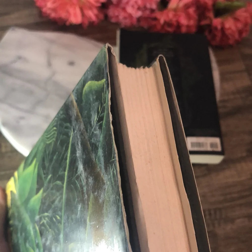 MERRICK Anne Rice & PERFECT RUIN Lauren Destefano hardcover paperback books